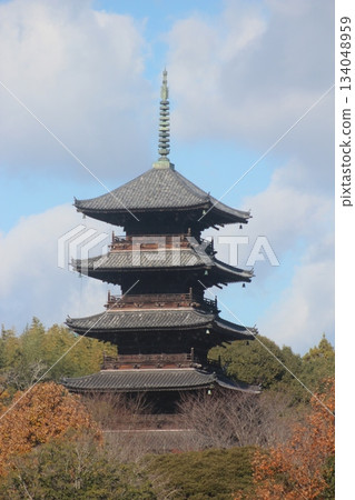Early winter, December 2025, Soja City, Okayama Prefecture [Bicchu Kokubunji Temple] _ OSCKOBU_003 134048959