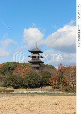 2025年12月初冬_岡山縣總社市[備中國分寺]_OSCKOBU_004 134048960