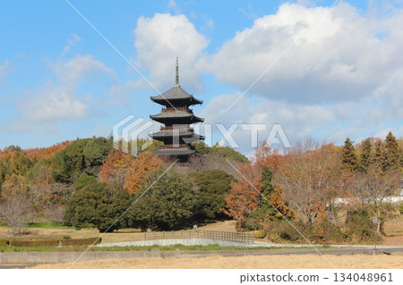 2025年12月初冬，岡山縣總社市[備中國分寺]_ OSCKOBU_005 134048961