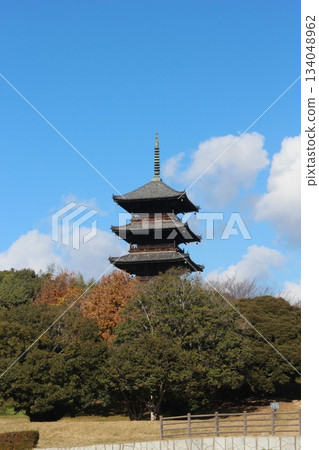 2025年12月初冬_岡山縣總社市[備中國分寺]_OSCKOBU_006 134048962