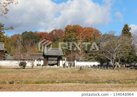 2025年12月初冬_岡山縣總社市[備中國分寺]_OSCKOBU_008 134048964