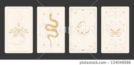 Tarot card frame set spiritual esoteric reverse border light magic sacred cover card. Mystic elements moon with line flowers, sun, magic moth, snake fantasy sign. Tarot card frame set spiritual esoteric reverse border light magic sacred cover card. Mystic elements moon with line flowers, sun, magic moth, snake fantasy sign. 134048986
