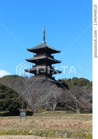 2025年12月初冬，岡山縣總社市[備中國分寺]_ OSCKOBU_010 134049010