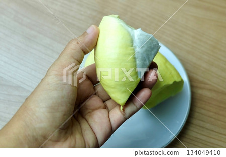 Hand Holding Fresh Creamy Yellow Durian Pulp Segment 134049410
