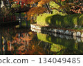 秋天的落葉倒映在池塘里 134049485