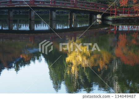 Yellow and red reflected in the pond Yellow and red reflected in the pond 134049487