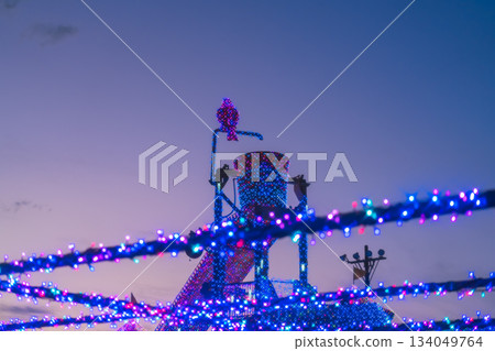 Winter illumination 134049764