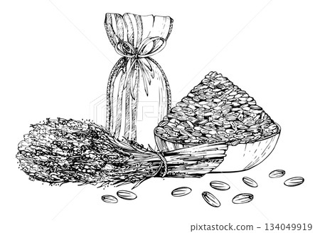 Lavender bouquet, ceramic clay dish of lavandula seeds, striped textile linen sachet pouch with raffia bow. Isolated illustration hand drawn in vector ink. Summer accessory, rustic herbal fashion 134049919