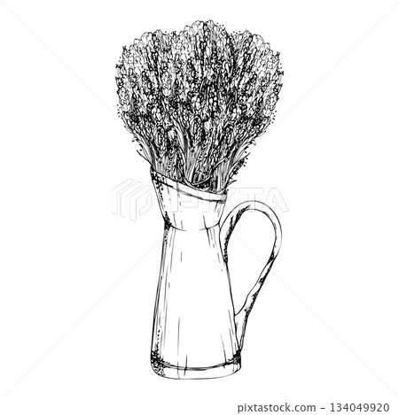 Lavender lavandula flowers bunch in French-style vintage metal jug. Isolated illustration hand drawn in vector ink, detailed line sketch. Wildflower packaging, herbal decoration, eco summer market 134049920