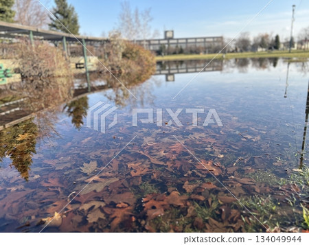 秋天的葉子漂浮在水面上 秋天的葉子漂浮在水面上 134049944