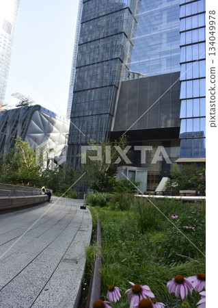 New York Manhattan High Line between the buildings 134049978