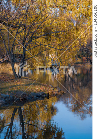 深秋的中島公園_8872B 深秋的中島公園_8872B 134050100