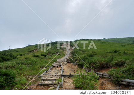 [Mountain scenery] Toyama Prefecture, Northern Alps, hiking trail (Oritate to Tarodaira) 134050174