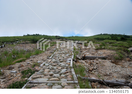 [Mountain scenery] Toyama Prefecture, Northern Alps, hiking trail (Oritate to Tarodaira) 134050175