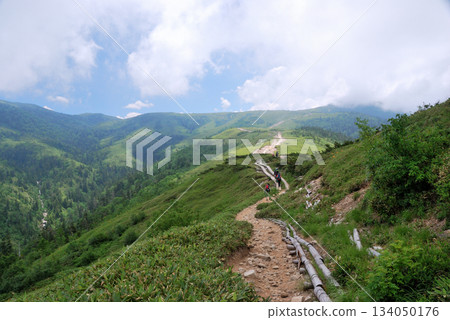 [Mountain scenery] Toyama Prefecture, Northern Alps, hiking trail (Oritate to Tarodaira) 134050176