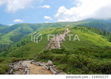 [Mountain scenery] Toyama Prefecture, Northern Alps, hiking trail (Oritate to Tarodaira) 134050177
