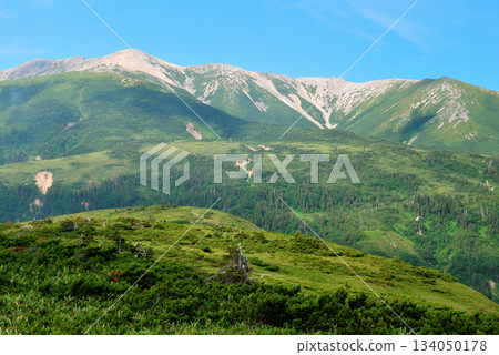 [Mountain scenery] Toyama Prefecture, Northern Alps, Mt. Yakushi 134050178
