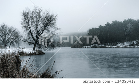 Misty Frozen Lake with Bare Trees and Snowy Shoreline Misty Frozen Lake with Bare Trees and Snowy Shoreline 134050412