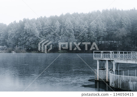 Frozen Lake and Snowy Forest in Ukraine, with Concrete Pier Frozen Lake and Snowy Forest in Ukraine, with Concrete Pier 134050415