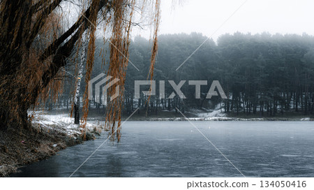 Frozen Forest Lake Framed by Tree Branches in Winter Fog Frozen Forest Lake Framed by Tree Branches in Winter Fog 134050416