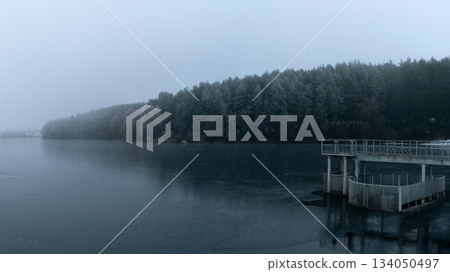 Frozen Lake and Snowy Forest in Ukraine, with Concrete Pier Frozen Lake and Snowy Forest in Ukraine, with Concrete Pier 134050497