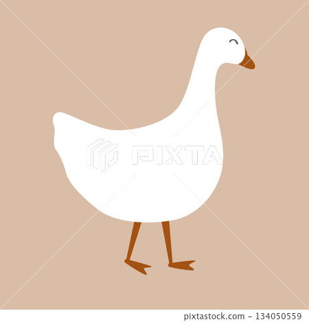 Cute domestic goose isolated on beige background. Vector illustration 134050559