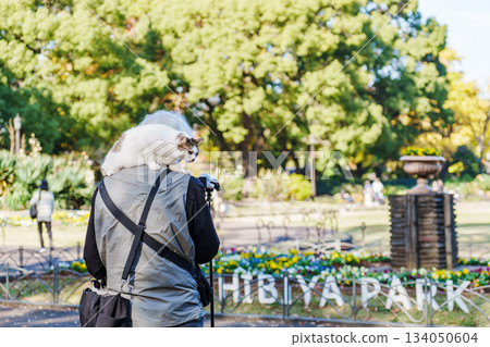 Autumn's Hibiya Park Autumn's Hibiya Park 134050604