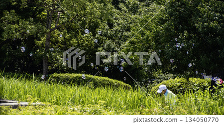 Summer soap bubbles and people walking Summer soap bubbles and people walking 134050770