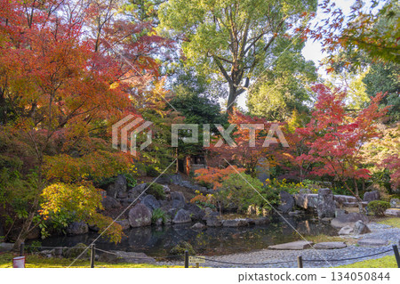 金溪園秋葉，長岡天滿宮（京都府長岡京市） 134050844