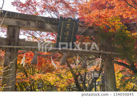 長岡天滿宮鳥居秋葉季（京都府長岡京市） 134050845