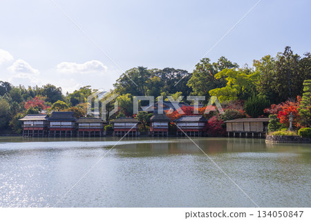 長岡天滿宮、金水亭、紅葉季節（京都府長岡京市） 134050847