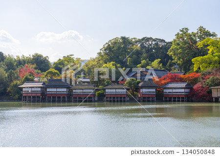 長岡天滿宮、金水亭、紅葉季節(京都府長岡京市) 長岡天滿宮、金水亭、紅葉季節(京都府長岡京市) 134050848