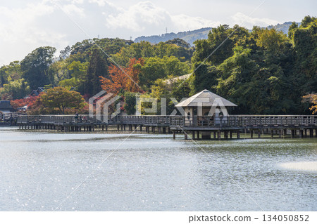 長岡天滿宮 - 秋葉季（京都府長岡京市） 134050852