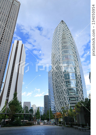 The skyscrapers of Nishi-Shinjuku 134050954