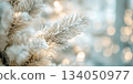 Winter background with Christmas tree branch frozen 134050977