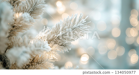 Winter background with Christmas tree branch frozen 134050977