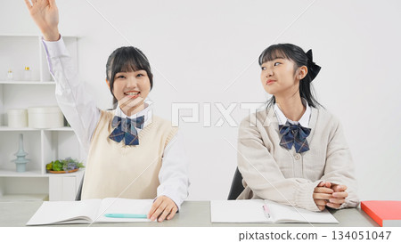 Two female students studying in a room 134051047