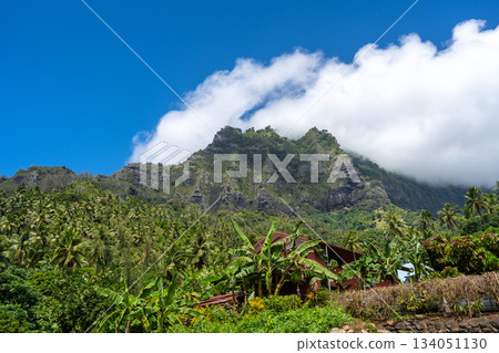 Mount Temetiu near Atuona, Hiva Oa, French Polynesia, Marquesas Islands Mount Temetiu near Atuona, Hiva Oa, French Polynesia, Marquesas Islands 134051130