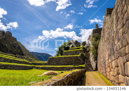 Ancient terraces and stone walls inside the Machu Picchu site in Peru Ancient terraces and stone walls inside the Machu Picchu site in Peru 134051146