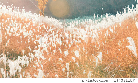 Shining Susuki Shining Susuki 134051197