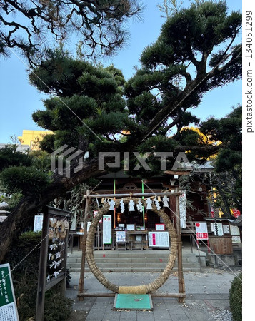 The straw circle at Sendagaya Hatomori Hachiman Shrine The straw circle at Sendagaya Hatomori Hachiman Shrine 134051299