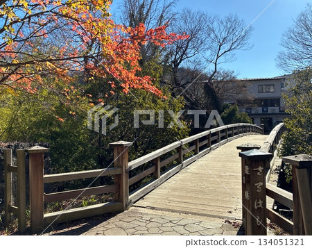 Saruhashi Bridge, one of Japan's three most unusual bridges, located in Yamanashi Saruhashi Bridge, one of Japan's three most unusual bridges, located in Yamanashi 134051321