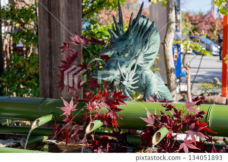 Dragon of Temizuya 134051893