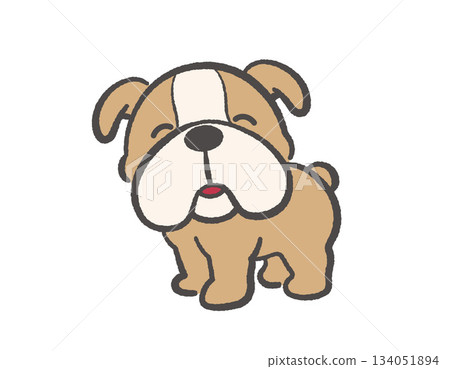 Vector illustration of a cute bulldog puppy 134051894
