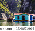 Wooden boat and colorful fishermen houses on floating rafts, Halong bay, Vietnam 134051904