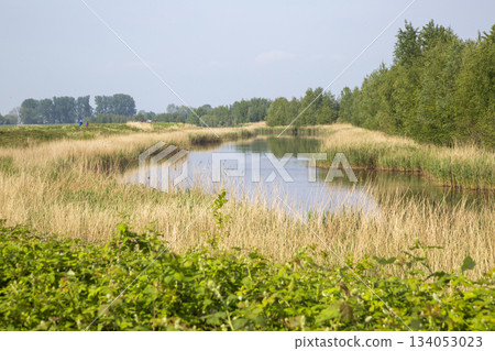 Nuldernauw along Zeedijk near Putter Stoomgemaal in Netherlands shows nature and water landscape with green banks and tall grass Nuldernauw along Zeedijk near Putter Stoomgemaal in Netherlands shows nature and water landscape with green banks and tall grass 134053023