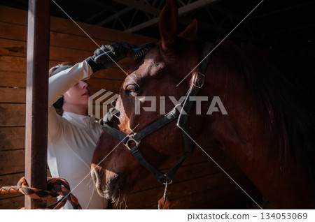 ranch and a young woman with a horse in a stable, combing its mane before training. Equestrian sport and a rider grooming her horse in an open stable ranch and a young woman with a horse in a stable, combing its mane before training. Equestrian sport and a rider grooming her horse in an open stable 134053069