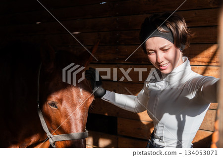horse and rider grooming their pet in a stable on a sunny day. Preparing a horse for equestrian training horse and rider grooming their pet in a stable on a sunny day. Preparing a horse for equestrian training 134053071