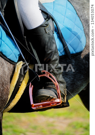 close-up of a rider's leg on a gray horse, looking forward. A woman's foot in a boot, standing in a pink stirrup. Specialized equipment for equestrian sports and show jumping 134053074
