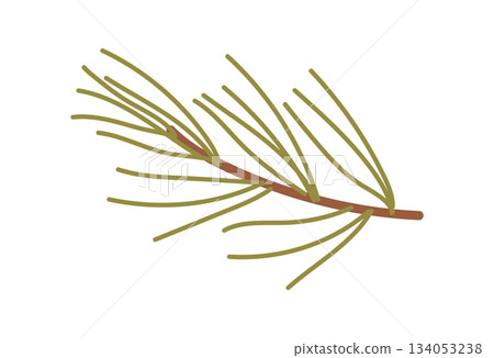 Flat pine branch with green plant decor in a holiday and winter style. Christmas decoration uses kraft and cardboard, perfect for a box or gift concept. Modern flat graphic for seasonal themes. Flat pine branch with green plant decor in a holiday and winter style. Christmas decoration uses kraft and cardboard, perfect for a box or gift concept. Modern flat graphic for seasonal themes. 134053238